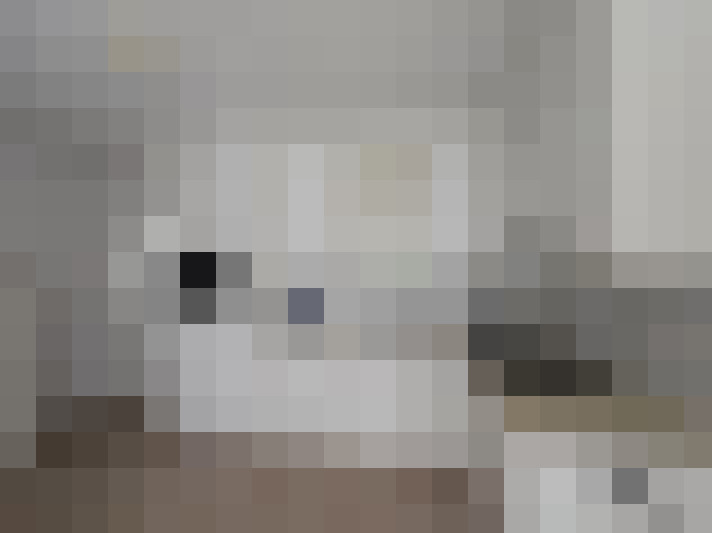  / #14