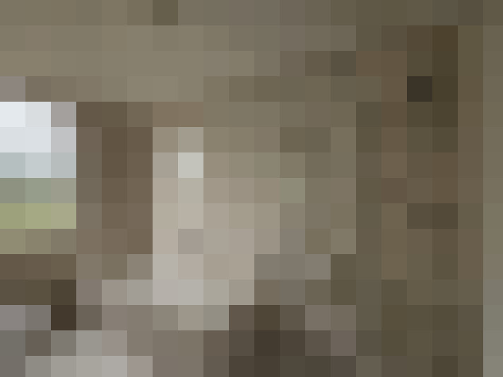  / #15