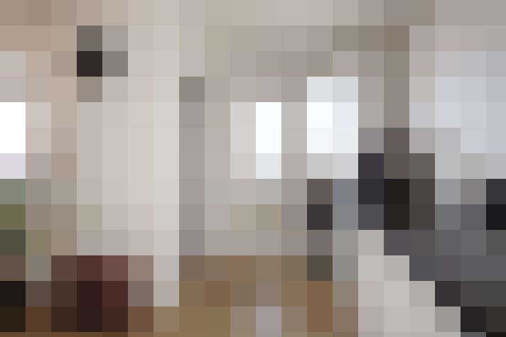  / #6