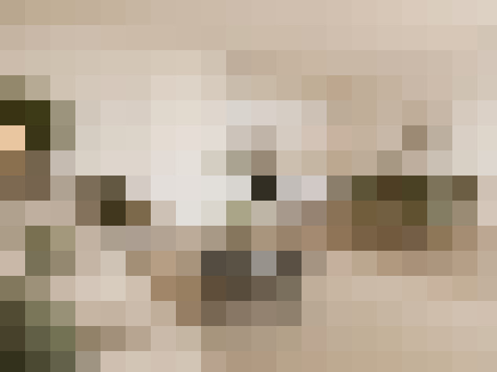  / #7