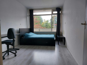 Kamer in Capelle Aan Den IJssel