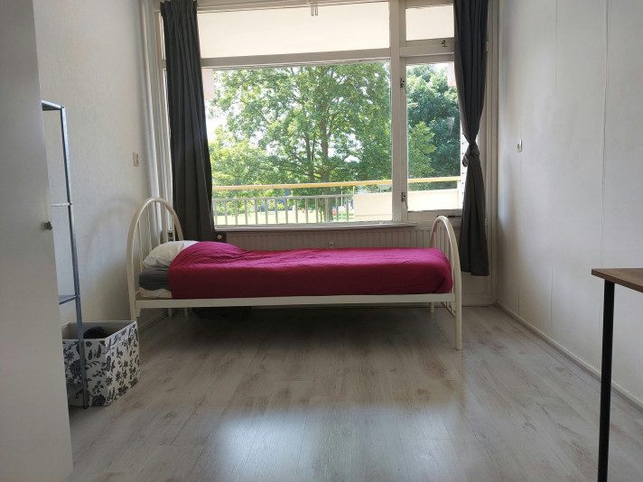 Kamer aan de Dotterlei in Capelle Aan Den IJssel (010130)