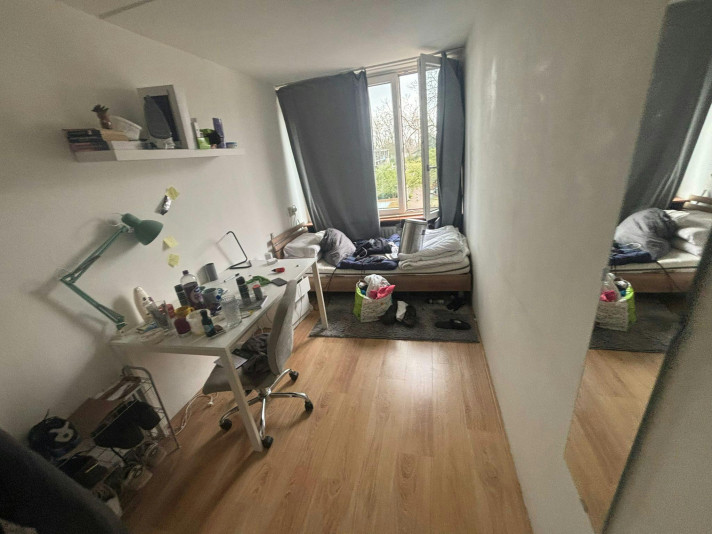 Kamer aan de Paardebloem in Rotterdam (010182)