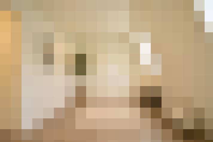  / #17