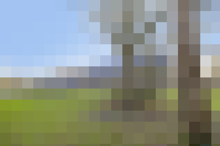  / #16