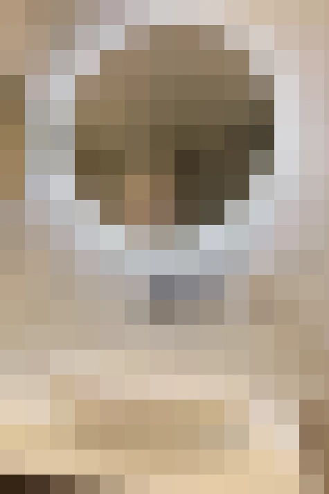  / #28