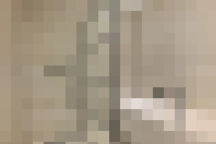  / #26