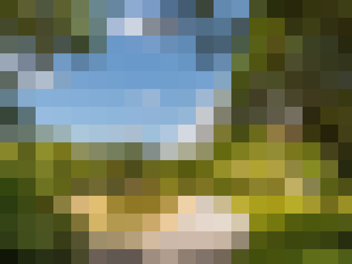  / #51