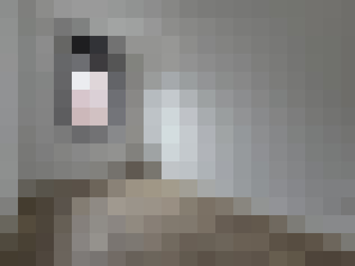  / #15