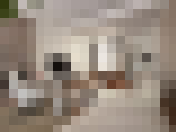  / #15