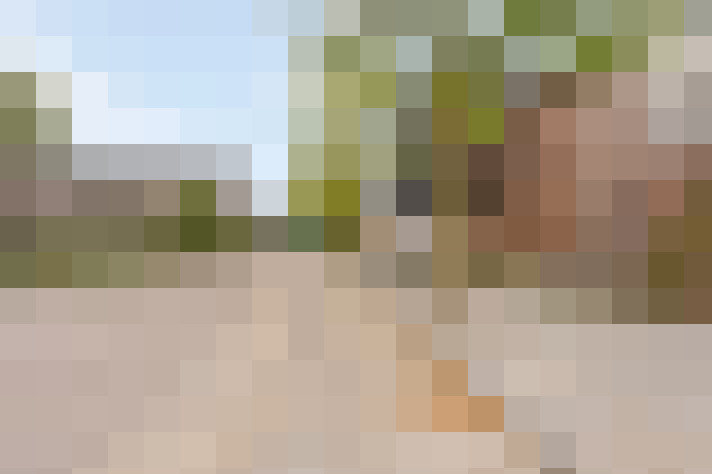  / #18