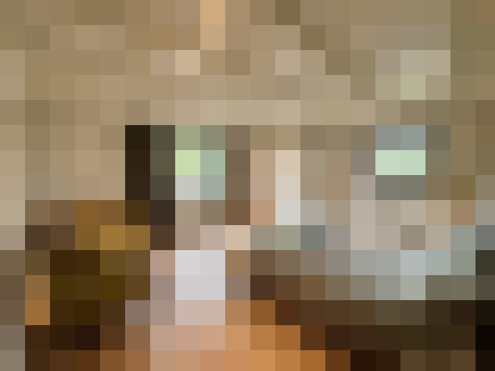  / #15