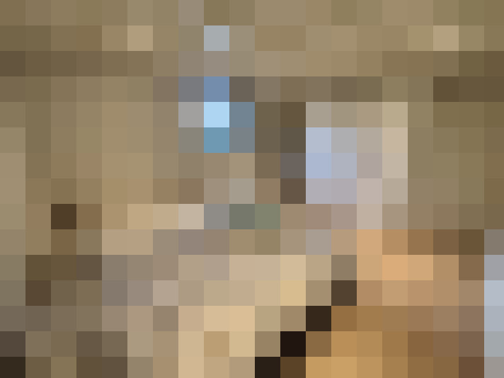  / #19