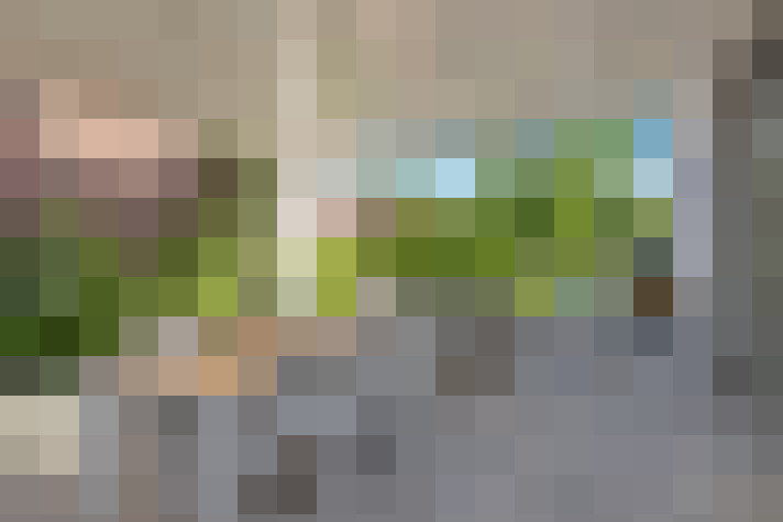  / #65