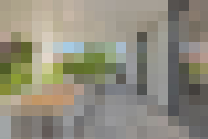  / #64