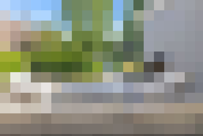  / #67