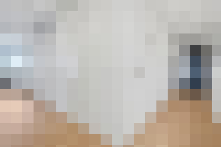  / #14