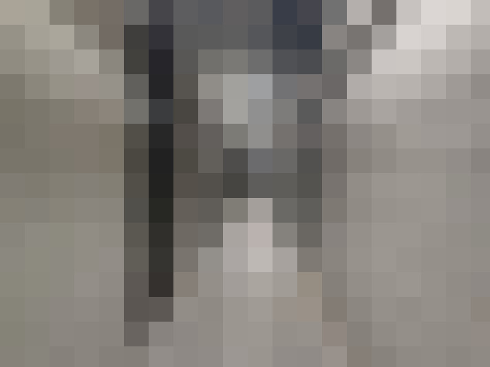  / #17