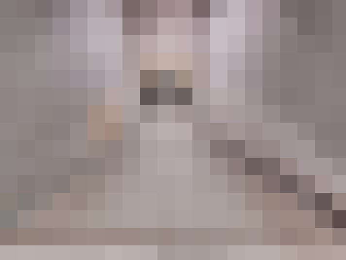  / #11