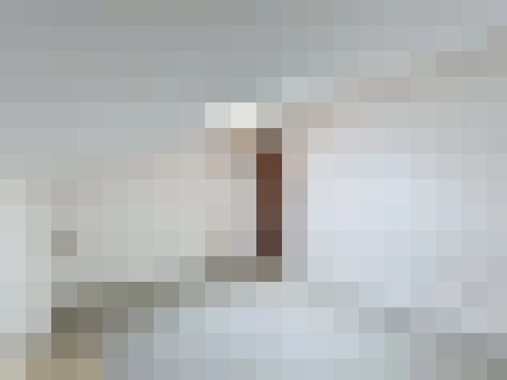  / #20
