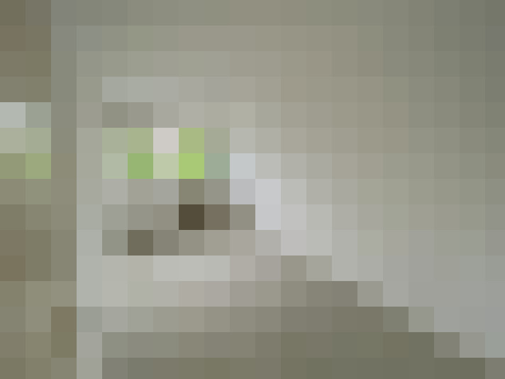  / #7