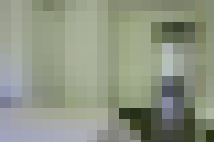  / #19