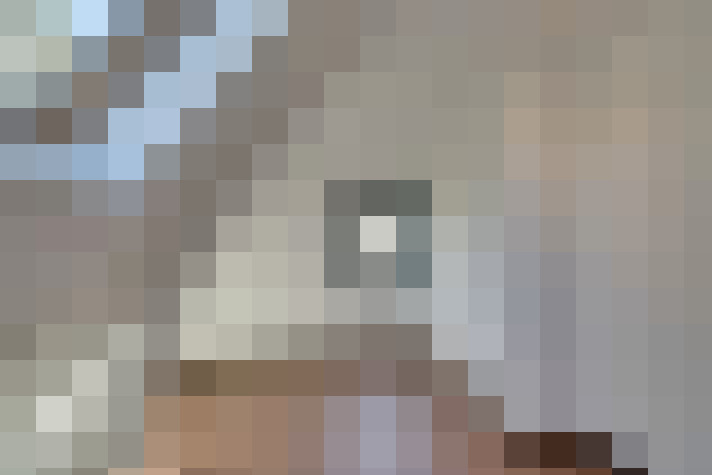  / #21