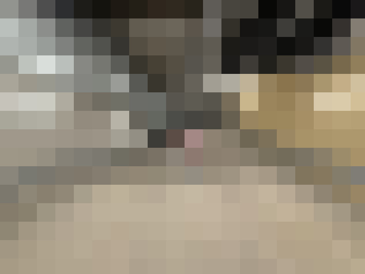  / #34