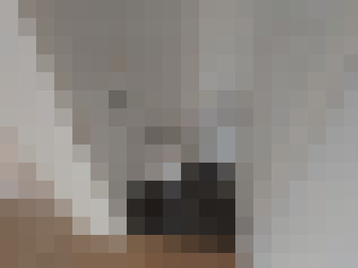  / #19