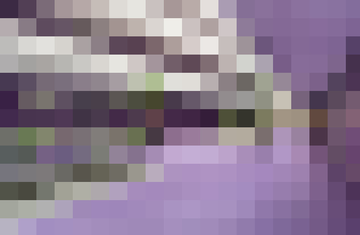  / #22