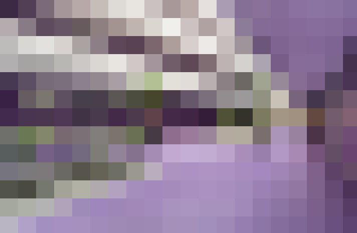  / #21