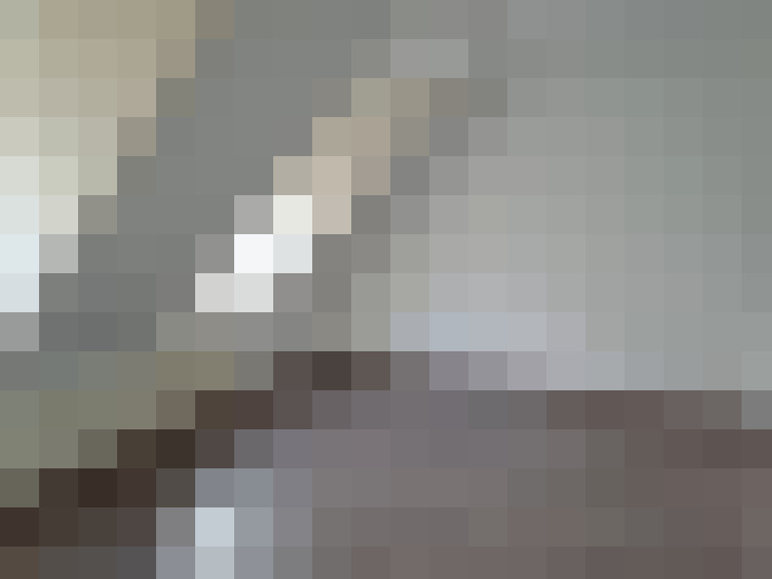  / #17
