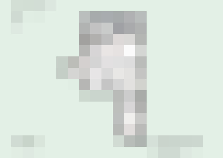  / #17