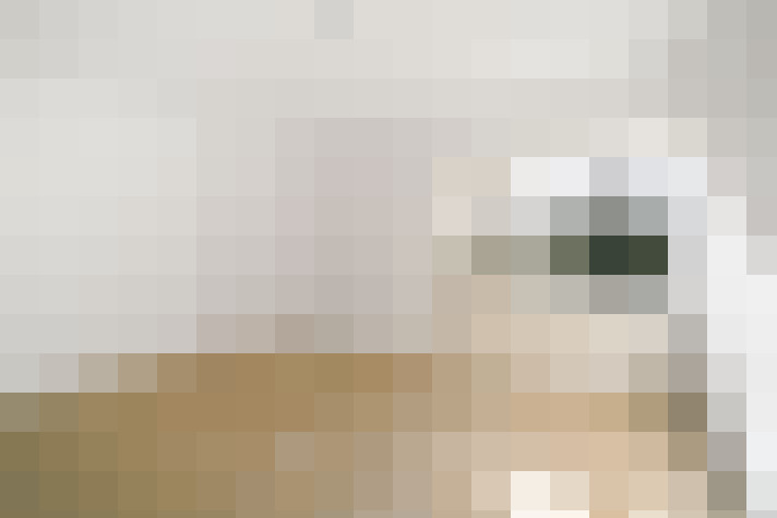  / #20