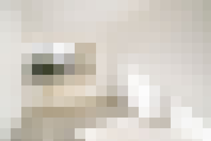  / #23