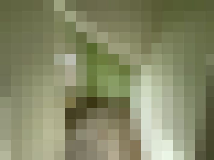  / #12