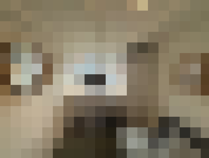  / #6