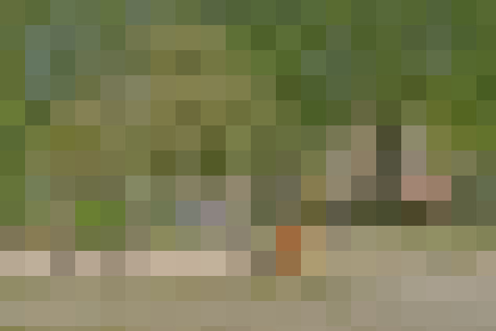  / #22