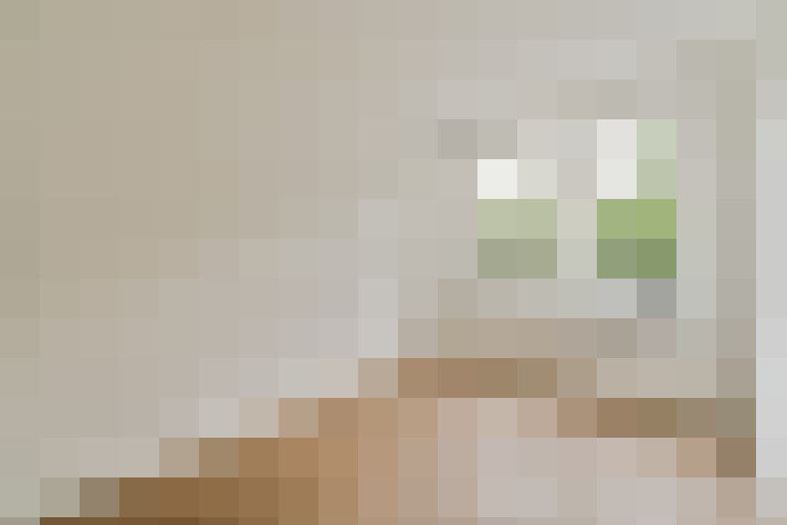  / #17