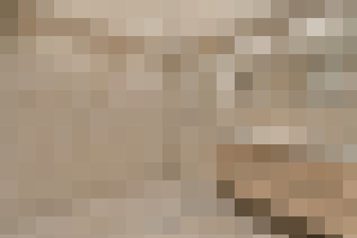  / #15