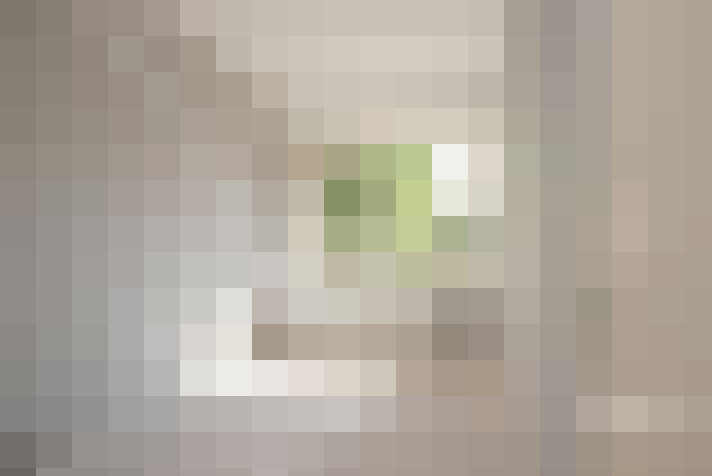  / #22