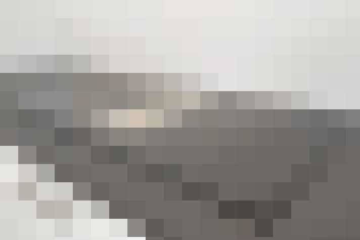  / #19