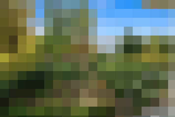  / #14
