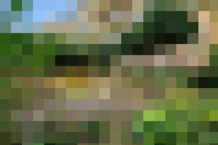 / #13