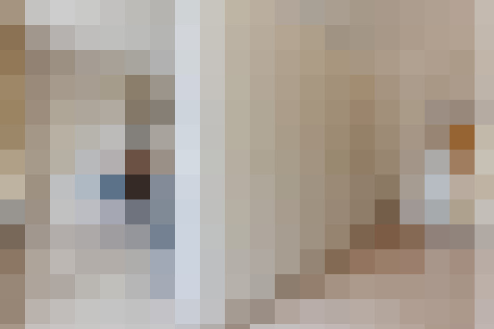  / #17