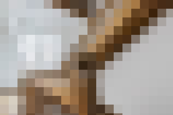  / #19