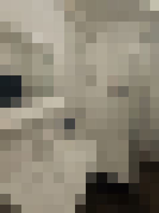  / #19