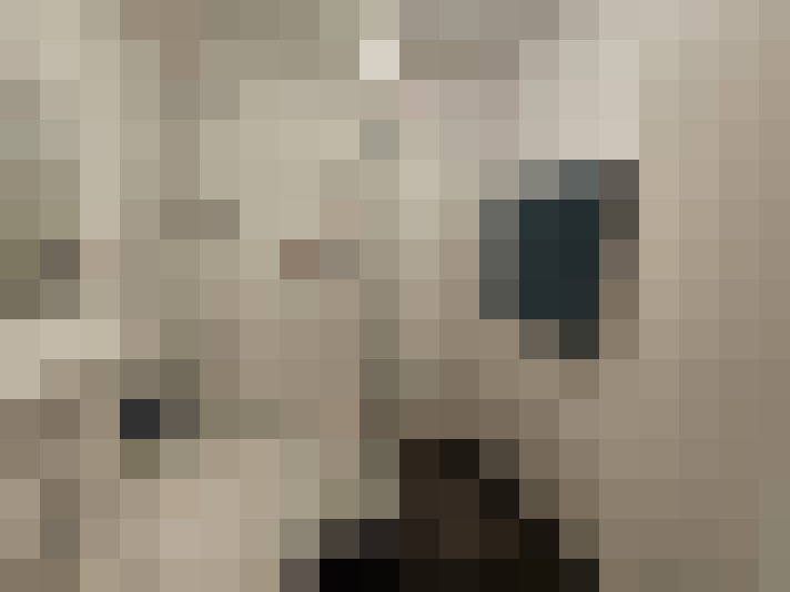  / #20