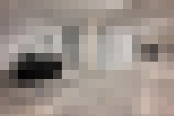  / #19