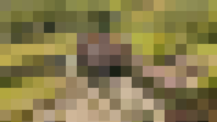 Dom — Laarbeek